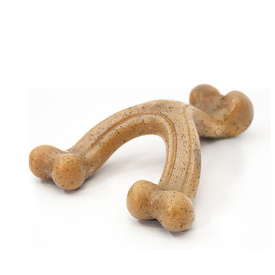 Nylabone Gourmet Style Strong Chew Wishbone Dog Toy Wishbone; Chicken; 1ea-SMall-Regular 1 ct