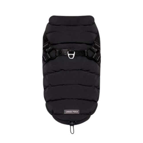 CP D HRN PUFFER BK 24