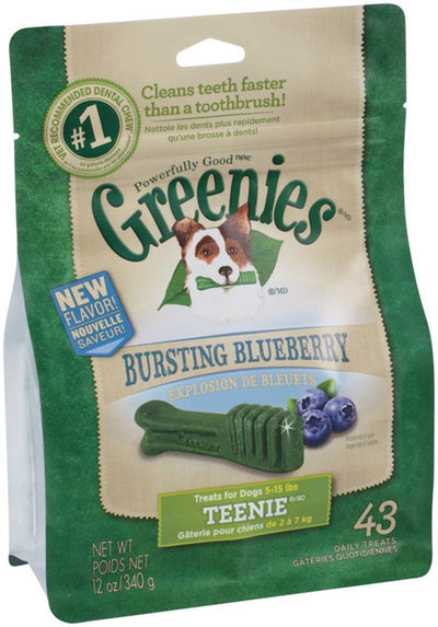 Greenies Blueberry Flavor Dog Dental Treat 12 oz 43 Count Teenie