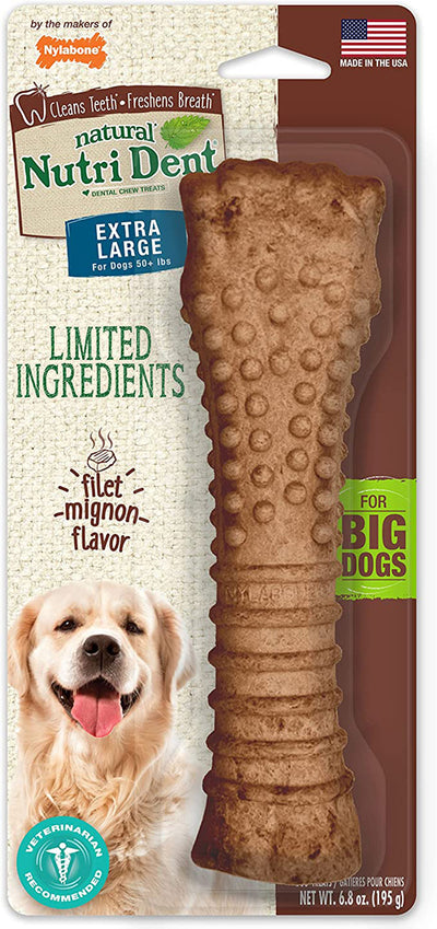 Nylabone Nutri Dent Filet Mignon Flavored Dog Dental Chews 1ea-XL-Souper 1 ct