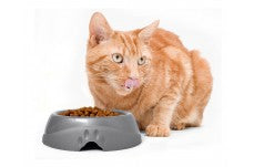 Petmate Ultra Lightweight Round Cat Bowl Assorted Small