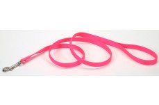 Coastal Single-Ply Nylon Dog Leash Neon Pink 5-8 in x 6 ft