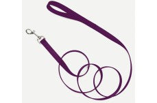 Coastal Single-Ply Nylon Dog Leash Purple 5-8 in x 6 ft