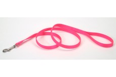 Coastal Single-Ply Nylon Dog Leash Neon Pink 3-4 in x 4 ft
