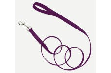 Coastal Single-Ply Nylon Dog Leash Purple 3-4 in x 4 ft