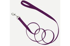 Coastal Single-Ply Nylon Dog Leash Purple 3-4 in x 6 ft