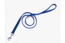 Coastal Single-Ply Nylon Dog Leash Blue 1 in x 6 ft