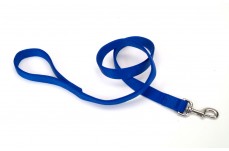 Coastal Double-Ply Nylon Dog Leash Blue 1 in x 4 ft