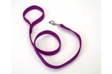 Coastal Double-Ply Nylon Dog Leash Purple 1 in x 4 ft