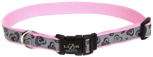 Lazer Brite Reflective Adjustable Dog Collar Turquoise 5-8 in x 12-18 in