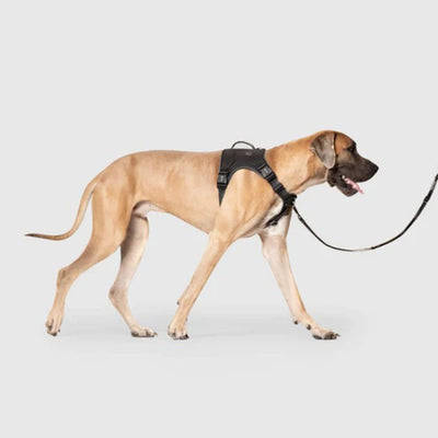 Canada Pooch Dog Complete Control Harness Black Xxlarge