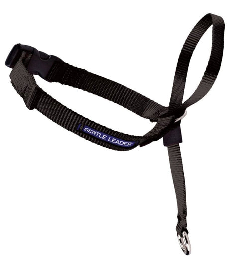 PetSafe Headcollar No-Pull Dog Collar Black Small