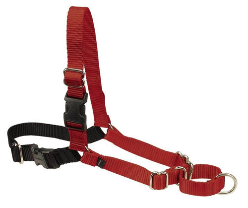 PetSafe Easy Walk Dog Harness Black; Red Large