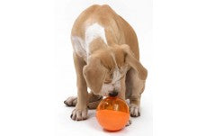 OurPets IQ Treat Ball Slow Feed Dog Toy Assorted Large 4 in