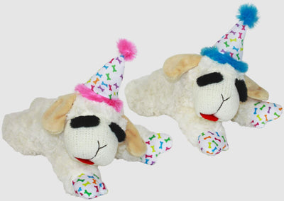 Multipet Lamb Chop w-Birthday Hat Dog Toy 10.5in