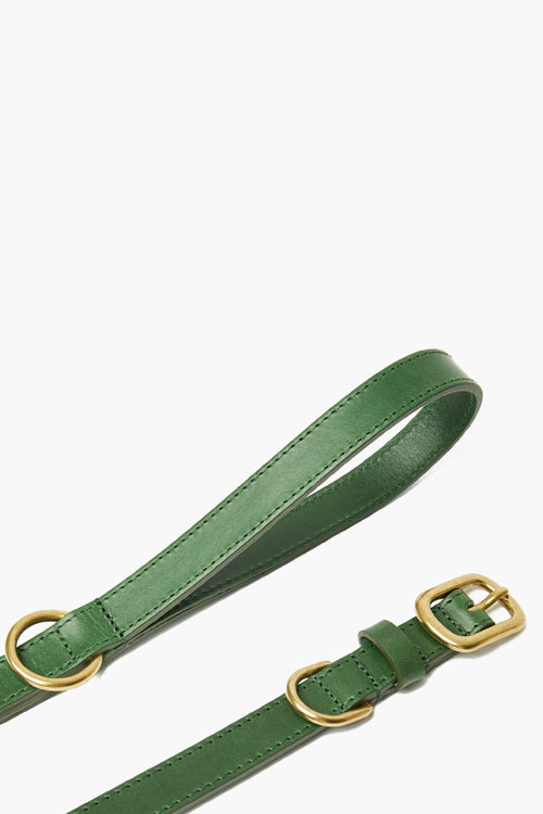 The Worthy Dog Avacado Green Small