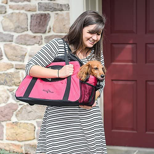 Gen7Pets Carry-Me Pet Carrier Raspberry Sorbet One Size 20 in