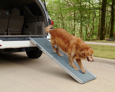 PetSafe Happy Ride Telescoping Pet Ramp for Dogs Grey Regular